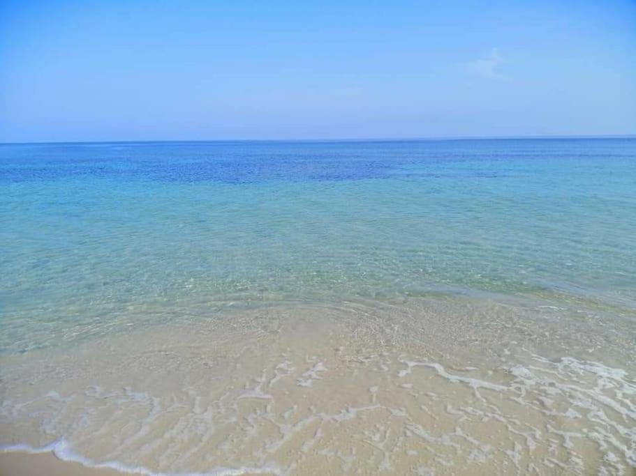 Your ¥achting * Sousse