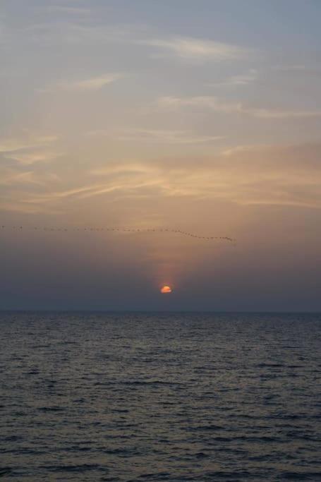 Your ¥achting Apartment Sousse