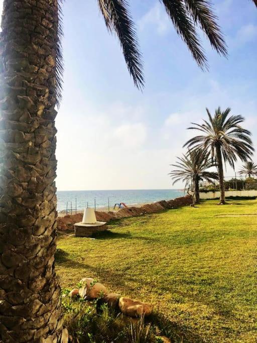 Your ¥achting * Sousse